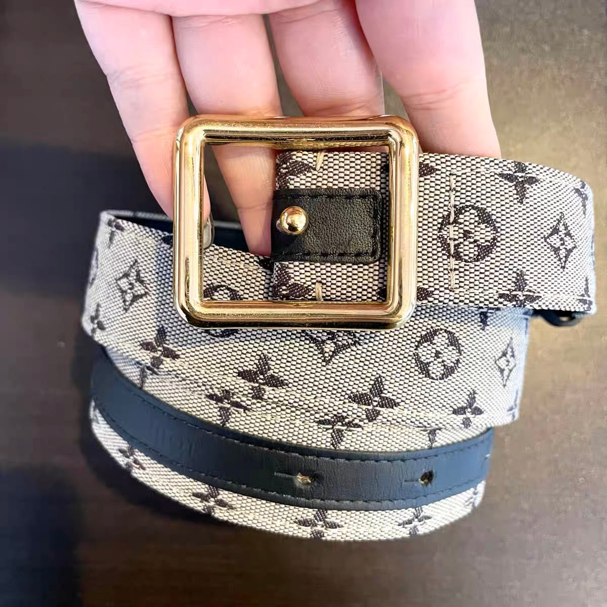 LOUIS VUITTON Monogram Minilan Santur SR0053