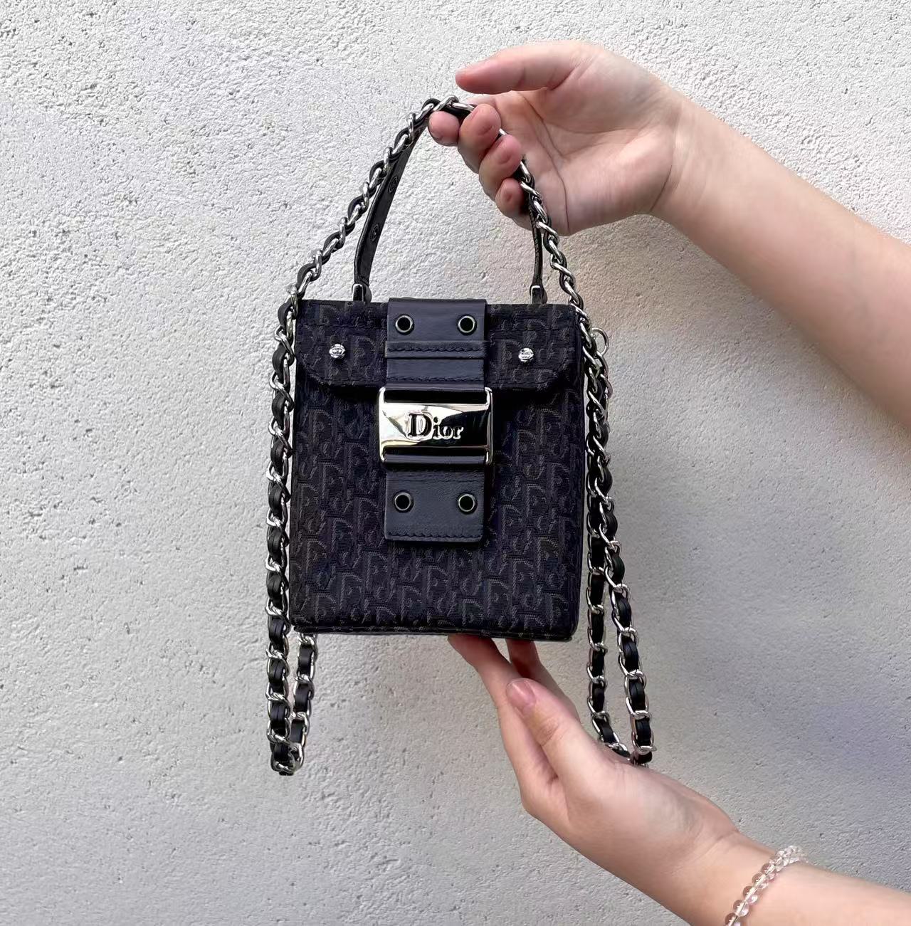 CHRISTIAN DIOR Trotter Vanity Handbag