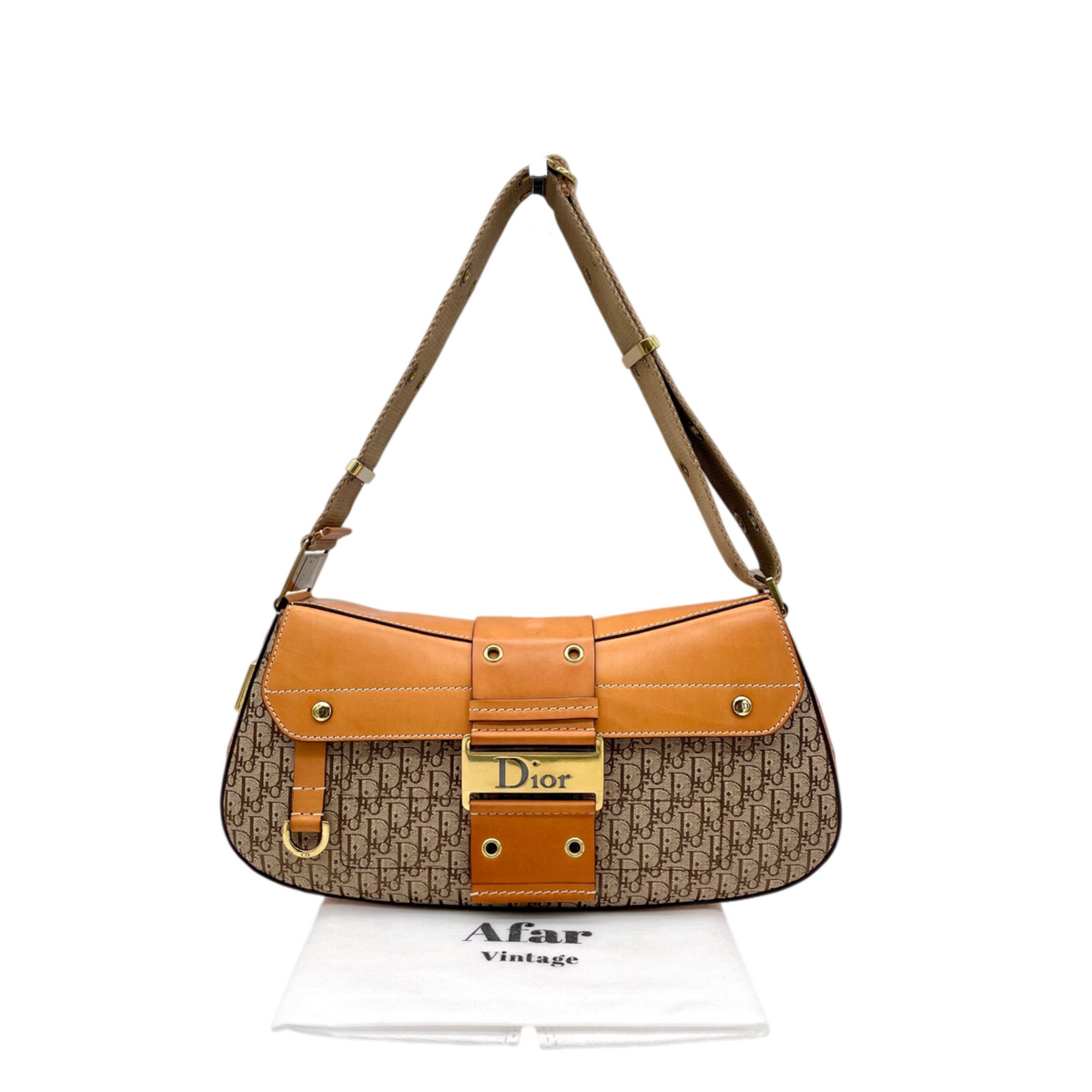 RARE★★★CHRISTIAN DIOR 2002 Street Chic Trotter Leather Canvas Punk Columbus Shoulder Bag Medium Brown Gold