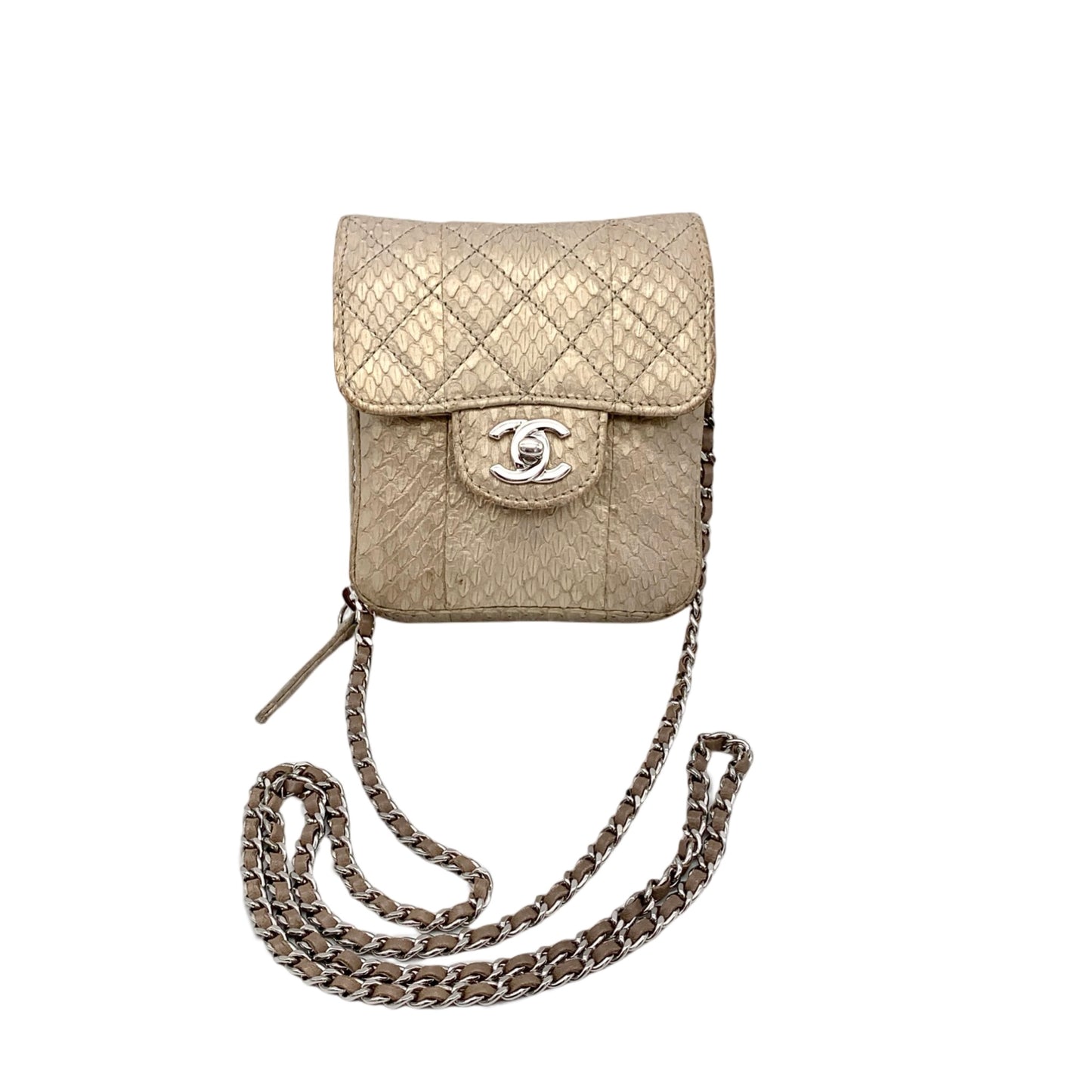 RARE☆☆☆CHANEL Python Chain-on Wallet Shoulder Bag