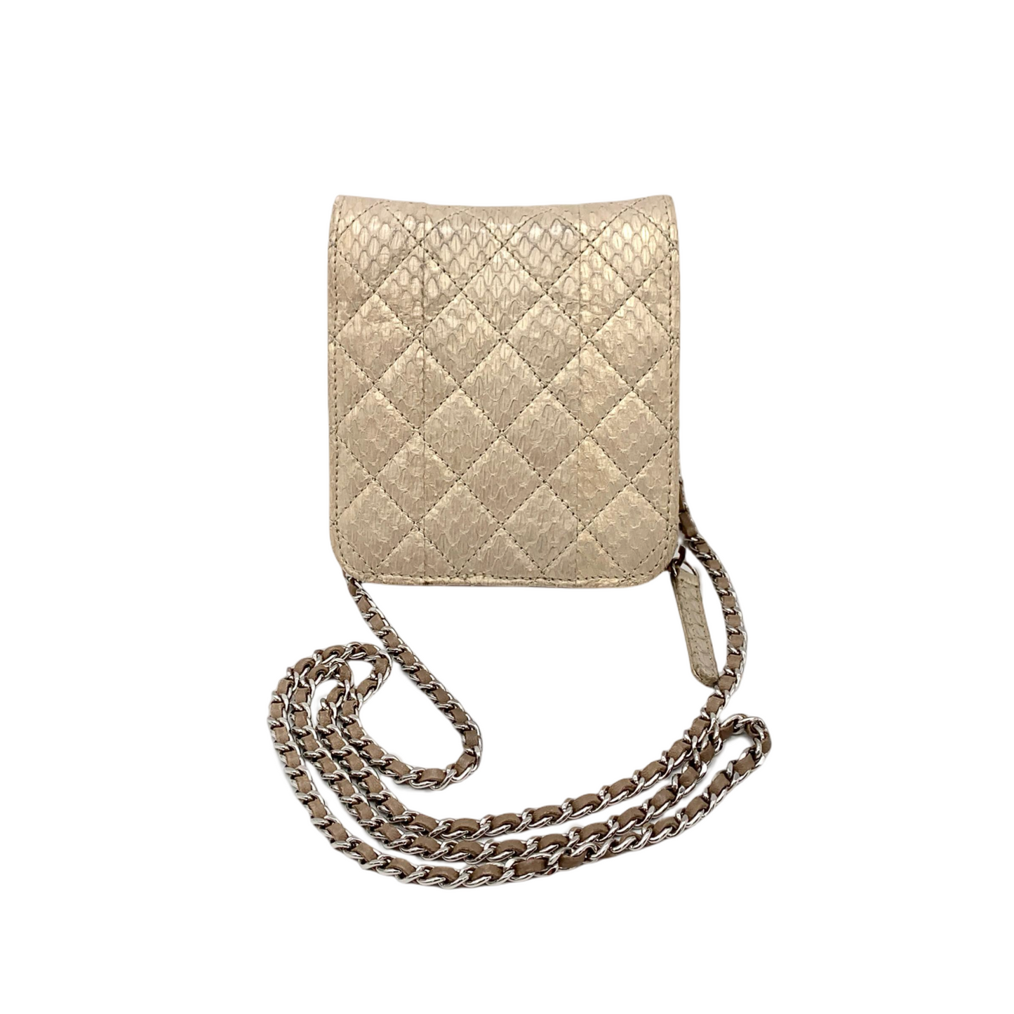 RARE☆☆☆CHANEL Python Chain-on Wallet Shoulder Bag