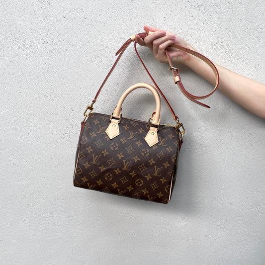 LOUIS VUITTON Monogram Speedy Handley 25