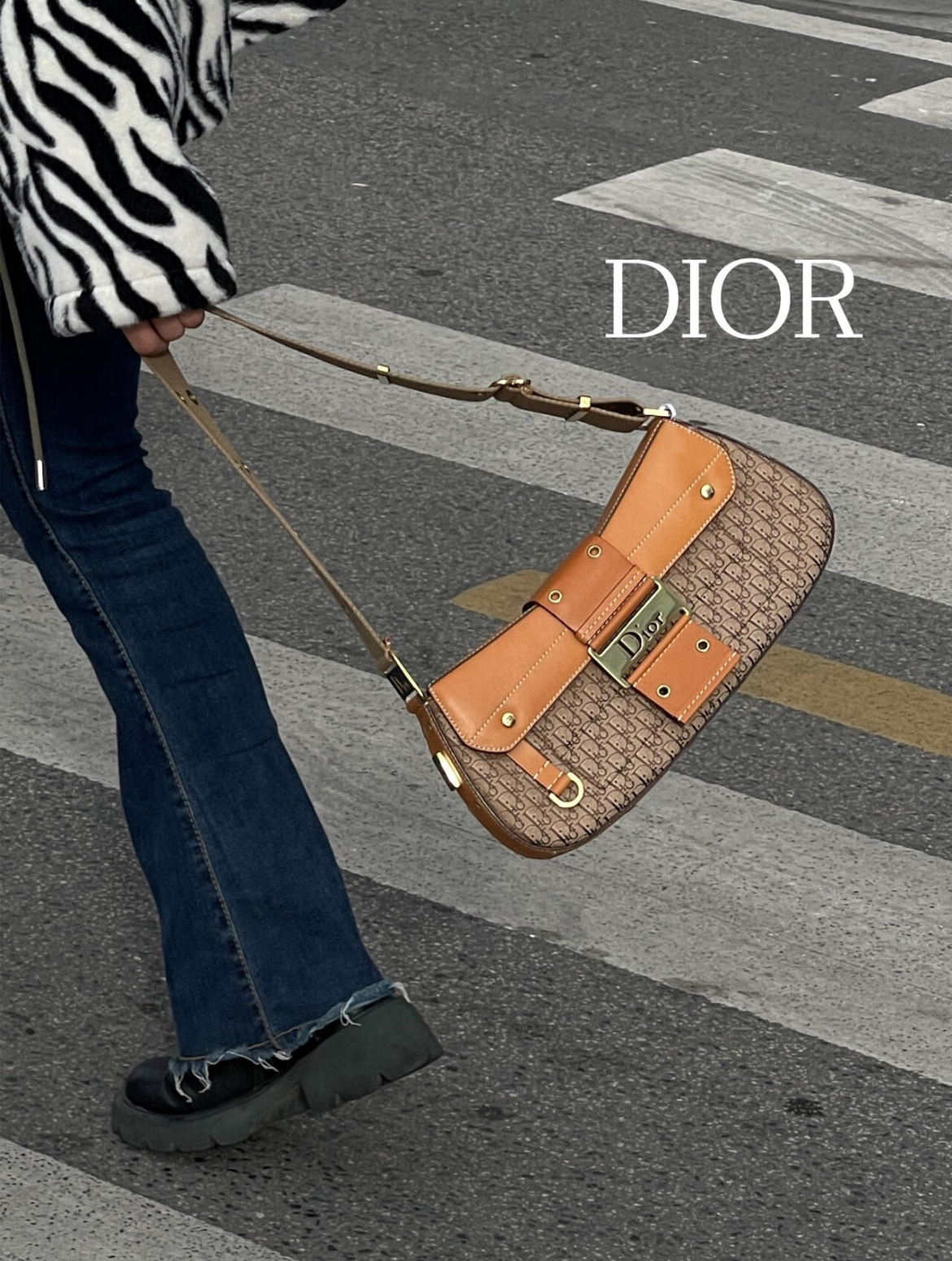 RARE☆☆☆☆CHRISTIAN DIOR Trotter Street Chic Shoulder Bag/Colombo Bag